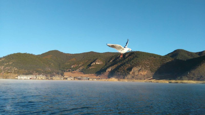 西昌瀘山邛海、知青博物館、摘草莓雙汽三日游